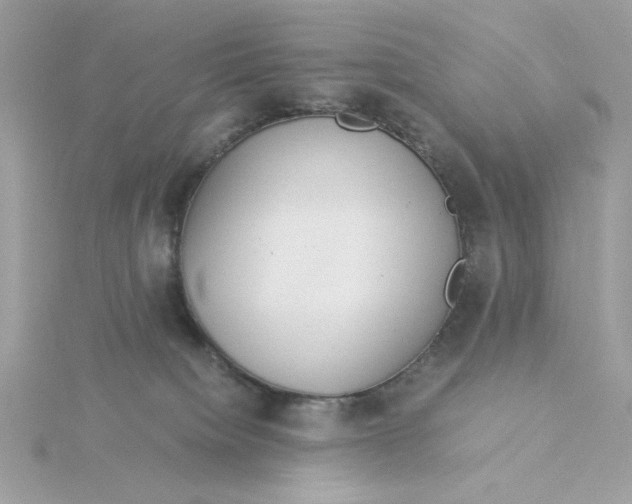 X0000116050084200912041842
