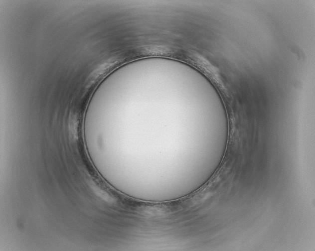 X0000116050106200912041841