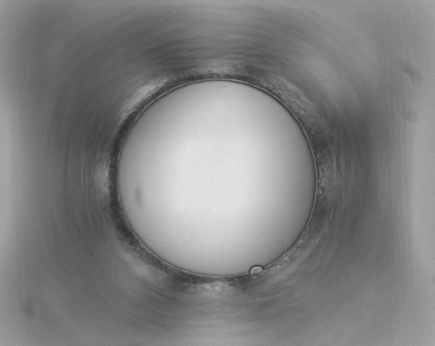 X0000116050112200912041841