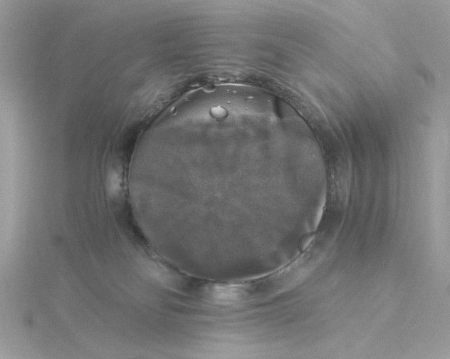 X0000116050134200912041841