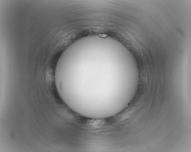 X0000116050135200912041841