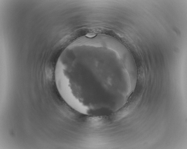 X0000116050139200912041841
