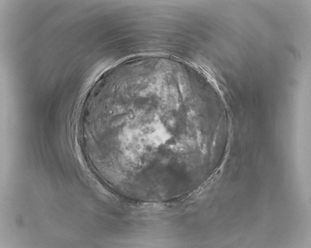 X0000116050145200912041840