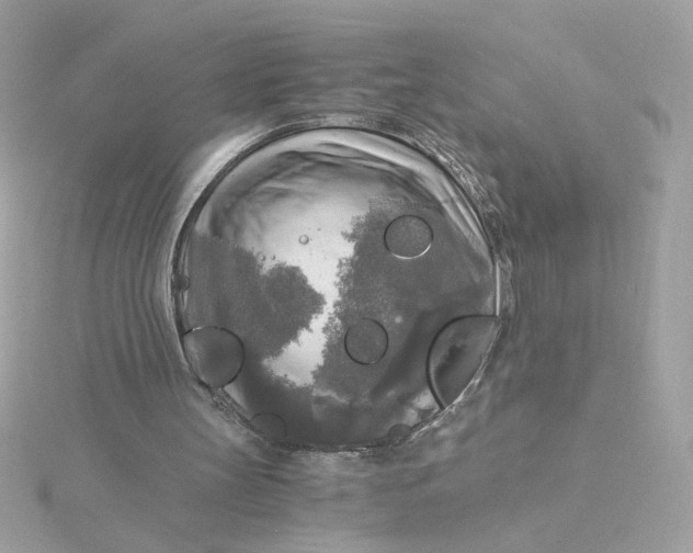 X0000116050147200912041840