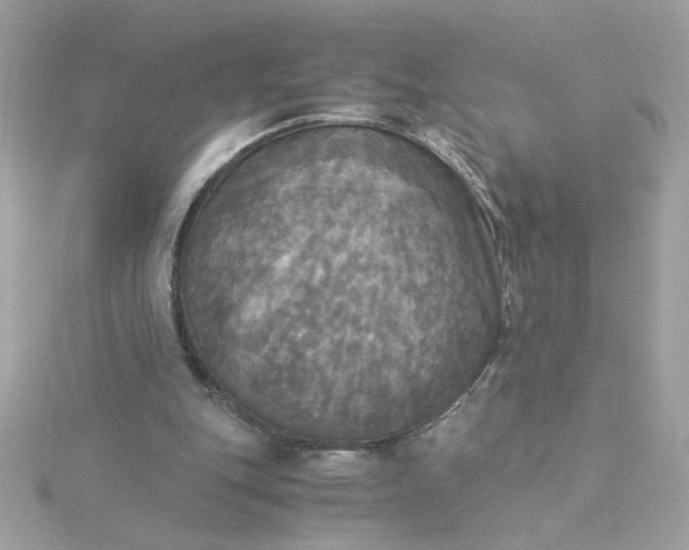 X0000116050151200912041840