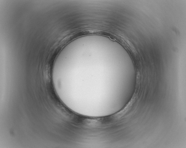 X0000116050170200912041840