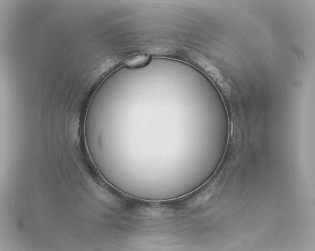 X0000116050201200912041840