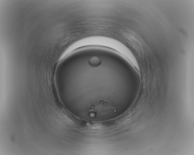 X0000116050219200912041840