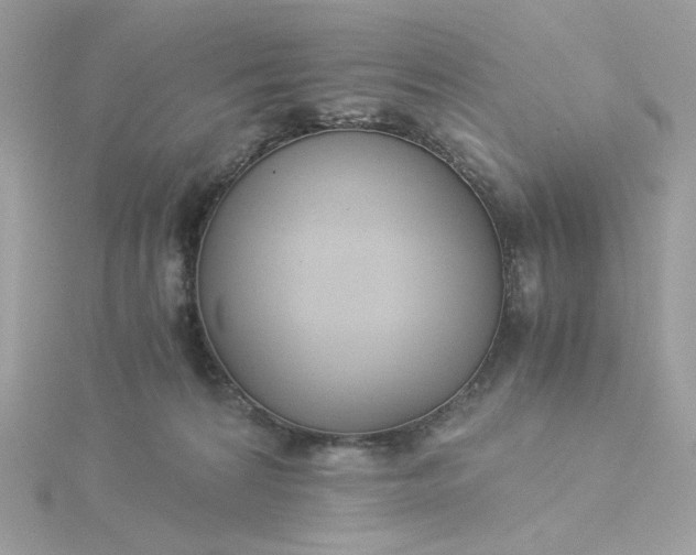 X0000116050224200912041840