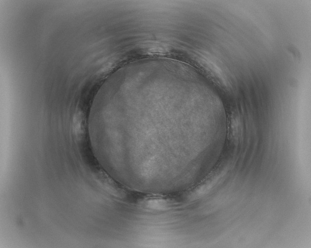X0000116050228200912041840