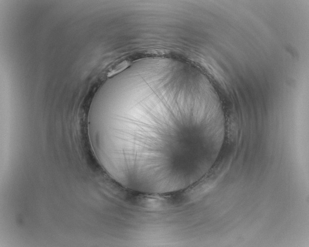 X0000116050229200912041840