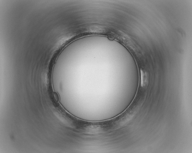 X0000116050252200912041839