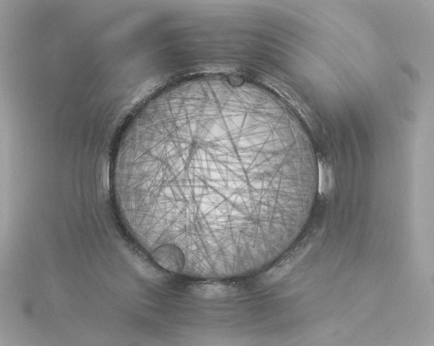 X0000116050253200912041839