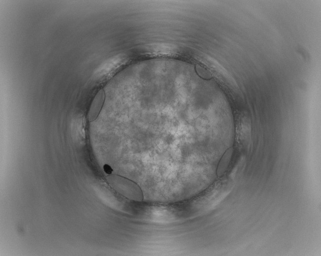 X0000116050264200912041839