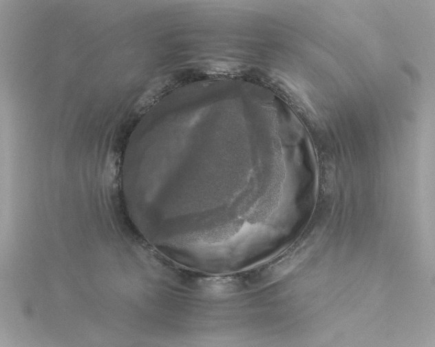 X0000116050273200912041839