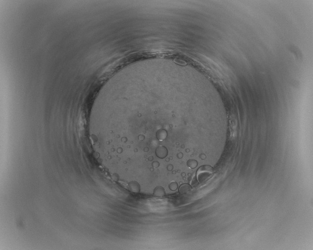 X0000116050279200912041839