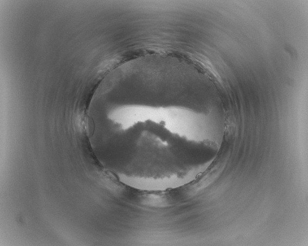 X0000116050285200912041839