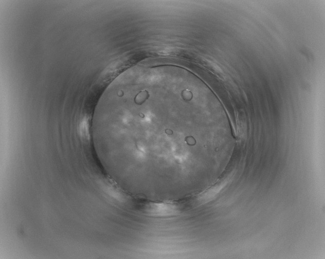 X0000116050286200912041839