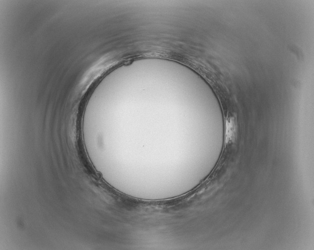 X0000116050291200912041839