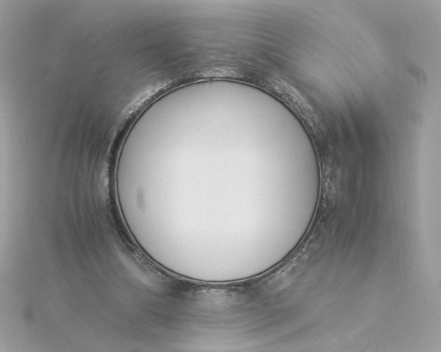 X0000116050298200912041838