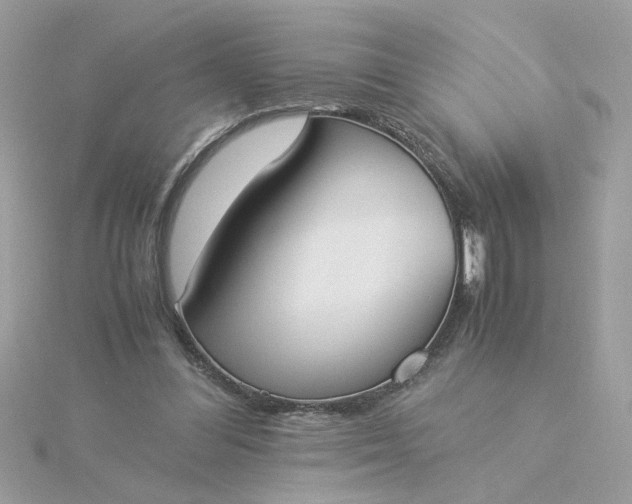 X0000116050300200912041838