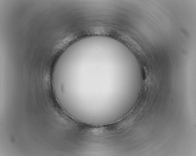 X0000116050306200912041838