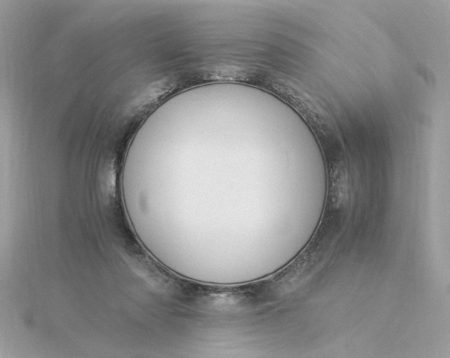 X0000116050310200912041838