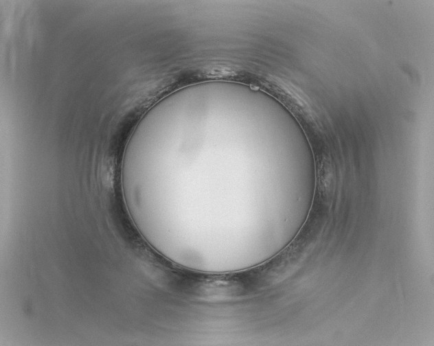 X0000116050315200912041838