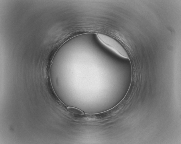 X0000116050317200912041838