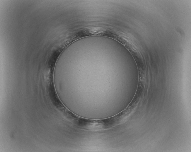 X0000116050319200912041838