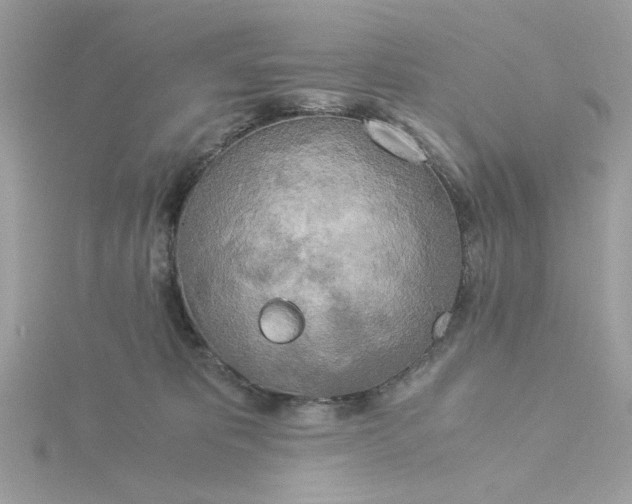 X0000116050325200912041838