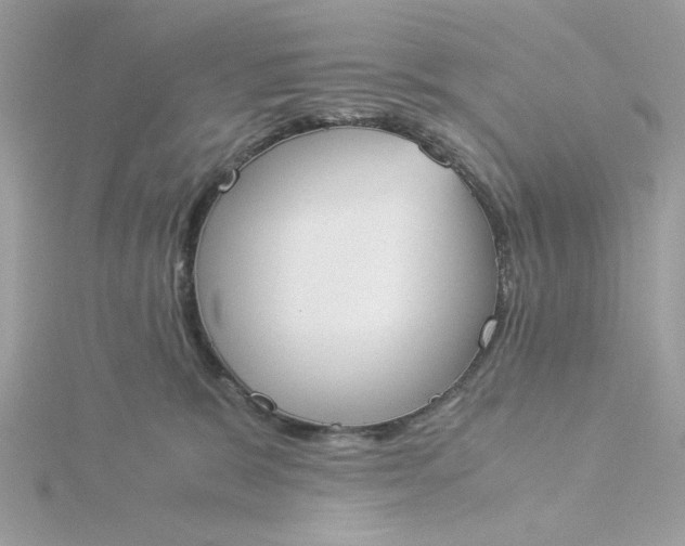 X0000116050327200912041838
