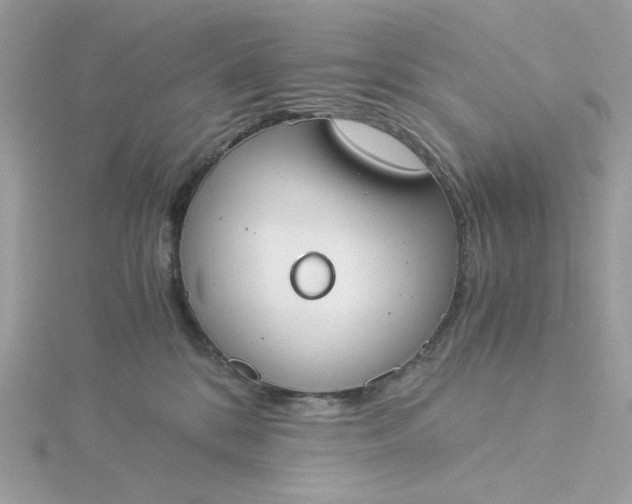 X0000116050328200912041838