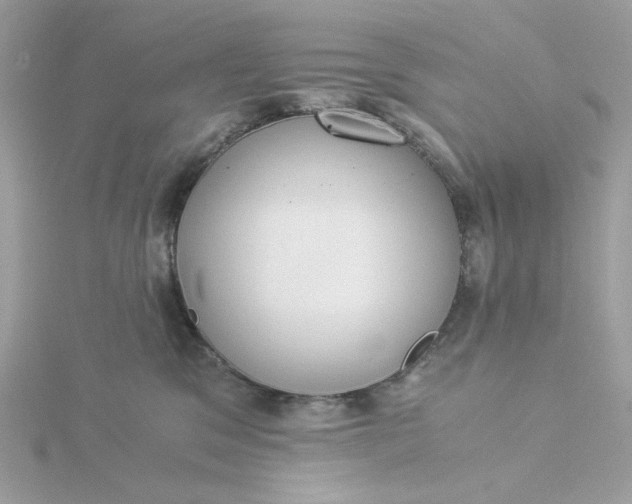 X0000116050329200912041838