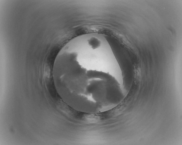 X0000116050331200912041838