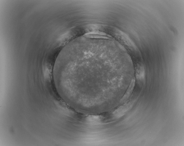 X0000116050332200912041838