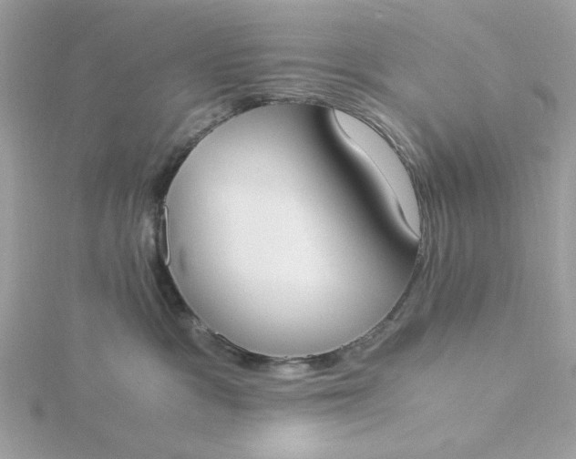 X0000116050333200912041838