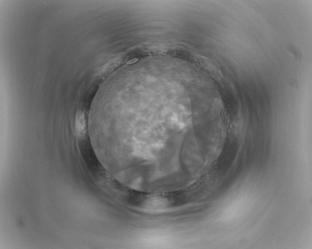 X0000116050335200912041838