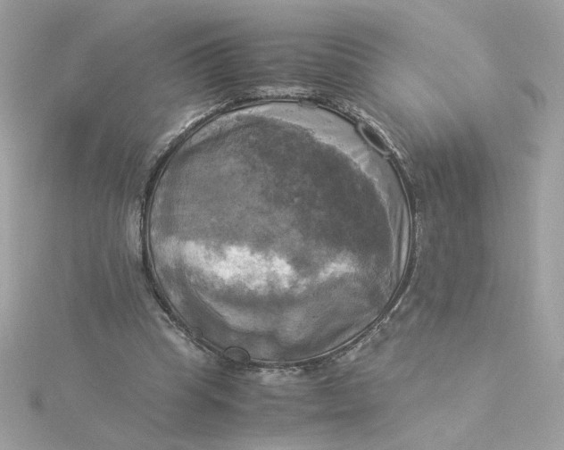 X0000116050345200912041837