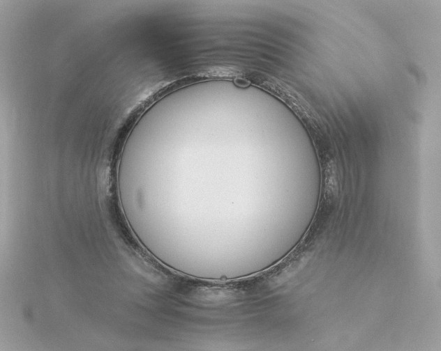 X0000116050351200912041838