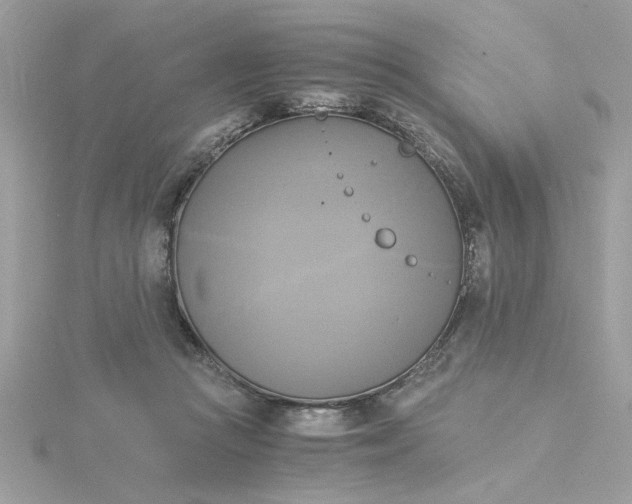 X0000116050361200912041838