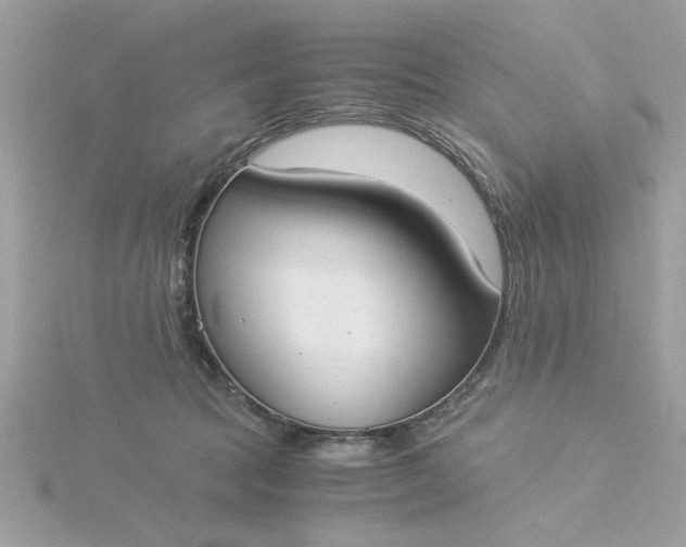 X0000116050369200912041838