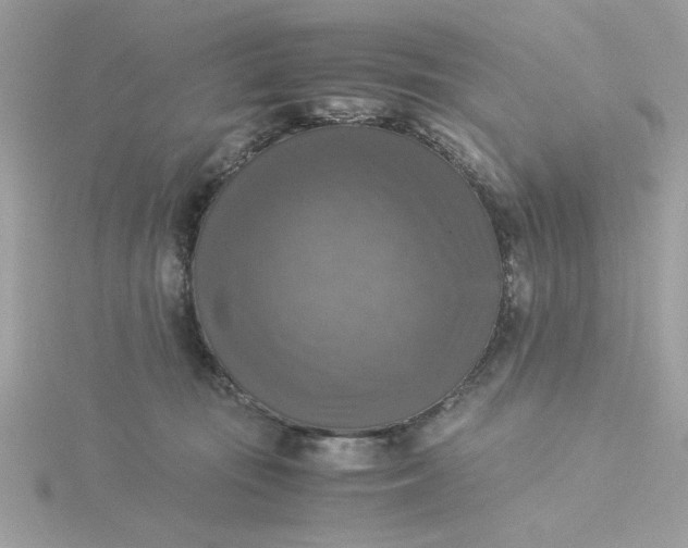 X0000116050371200912041838
