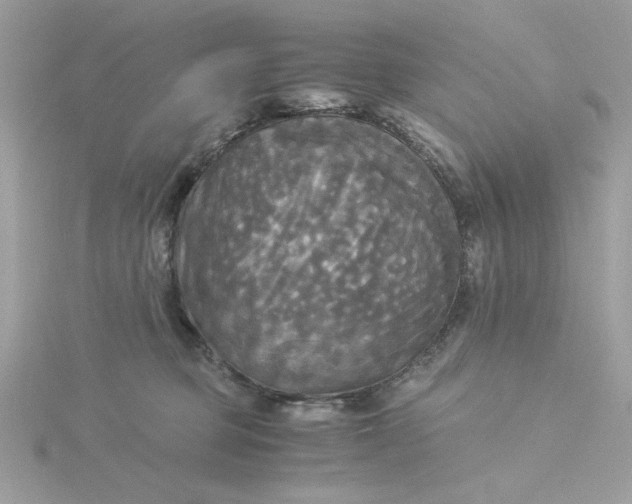 X0000116050373200912041838