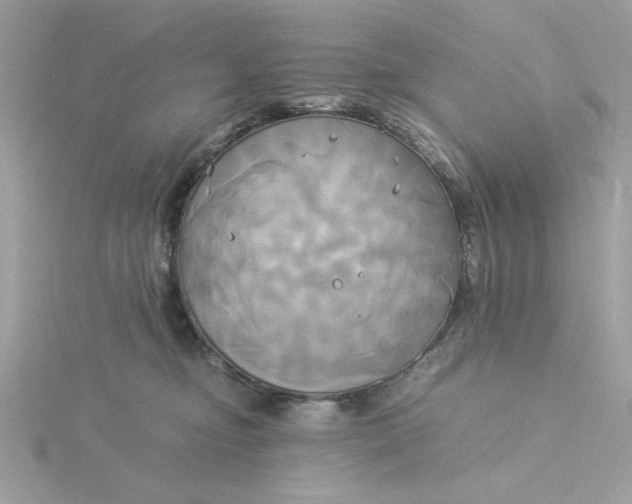 X0000116050374200912041838