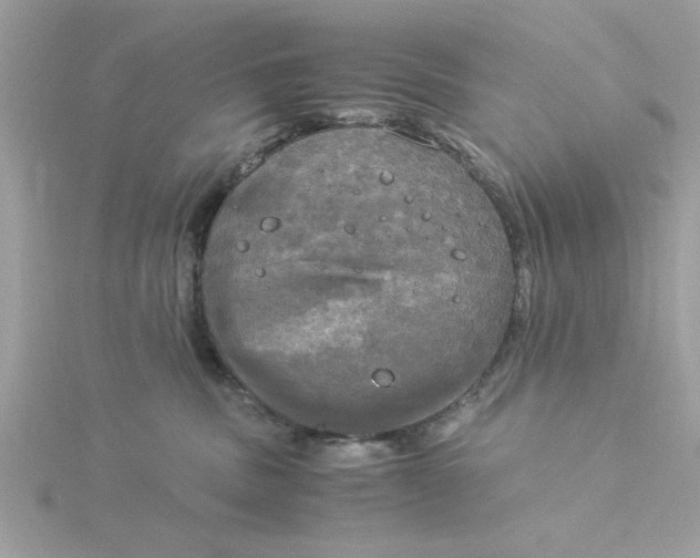 X0000116050379200912041838