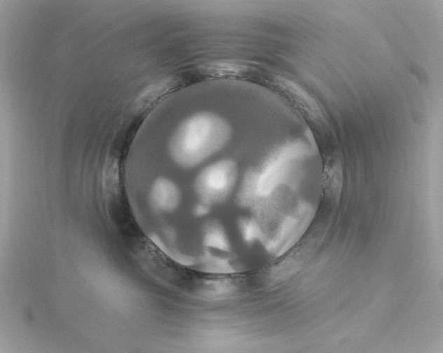 X0000116050381200912041838