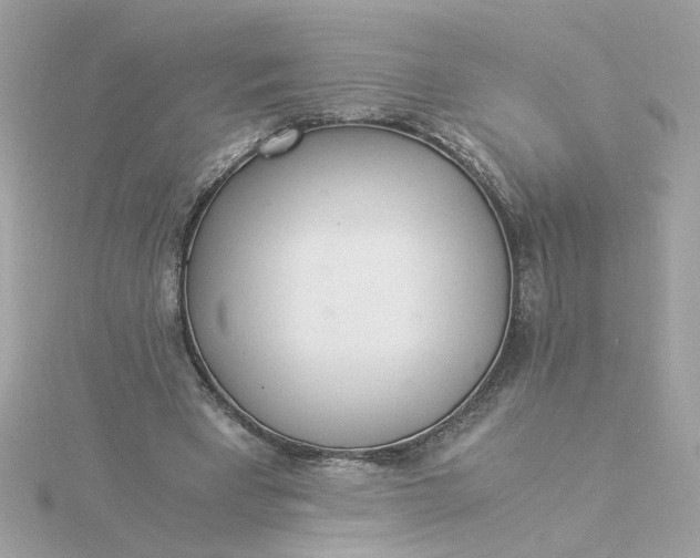 X0000116050393200912041837