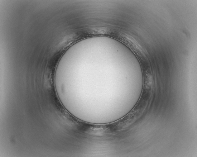 X0000116050414200912041837