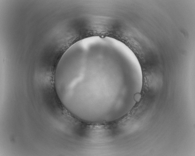 X0000116050419200912041837